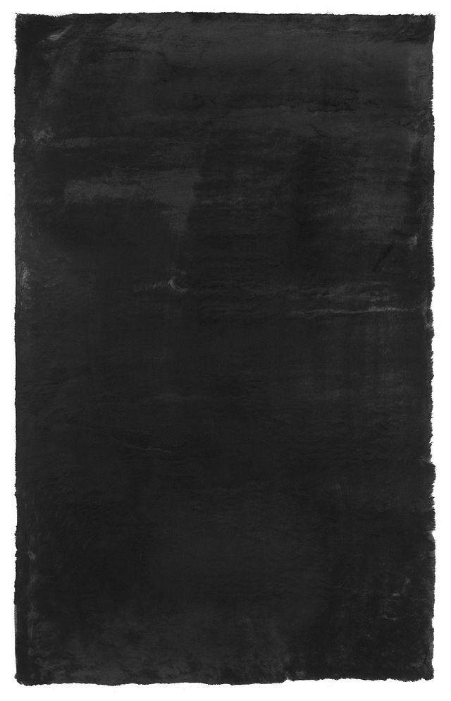 Kaycee Black 4x6 Area Rug