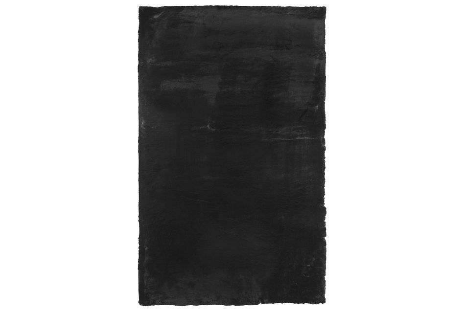 Kaycee Black 4x6 Area Rug