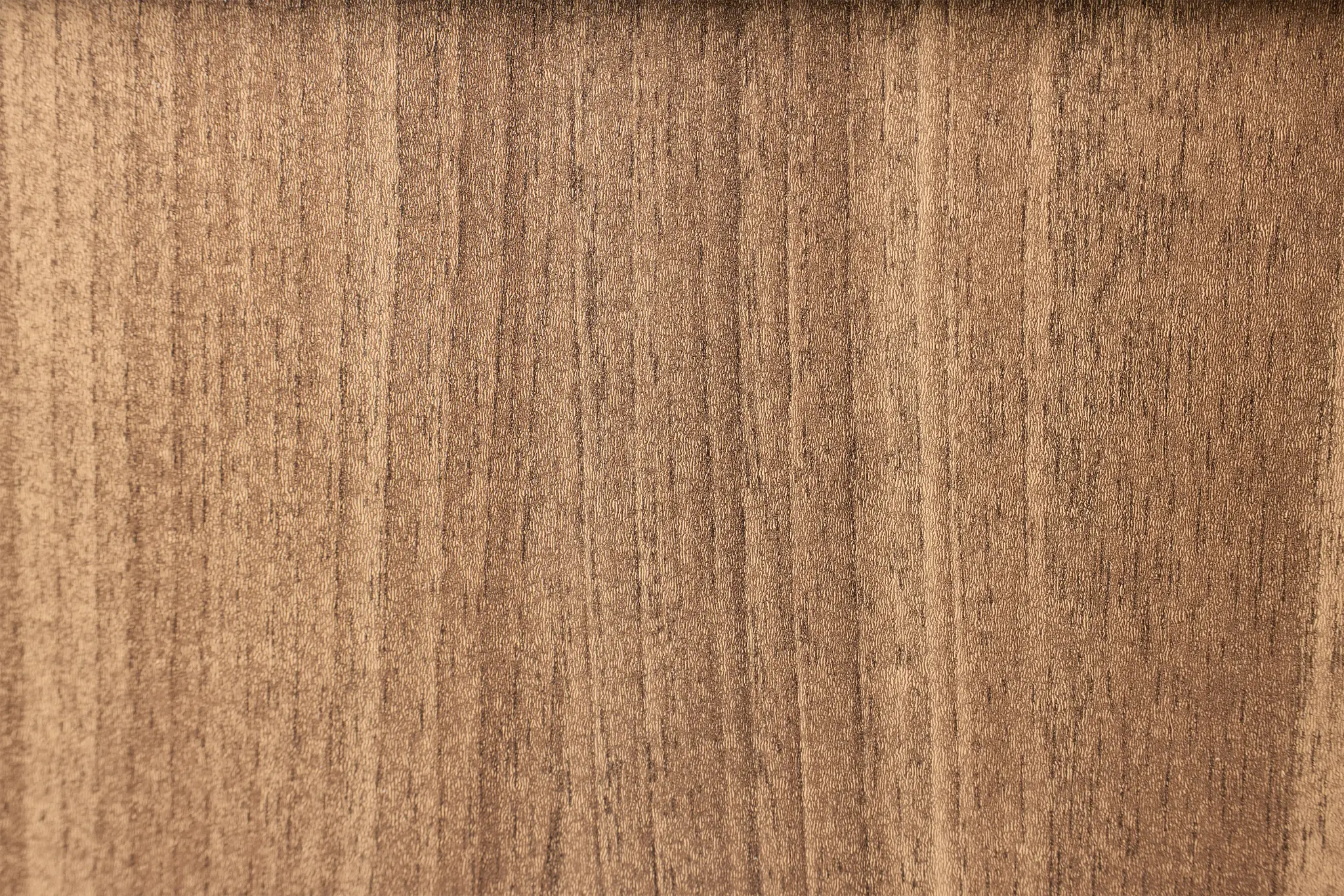 Trento Mid Tone Glass Large Door Bookcase Wall Trento Mid Tone Glass Large Door Bookcase Wall