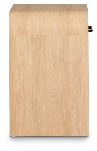 Lyndie Light Tone 1-drawer Nightstand