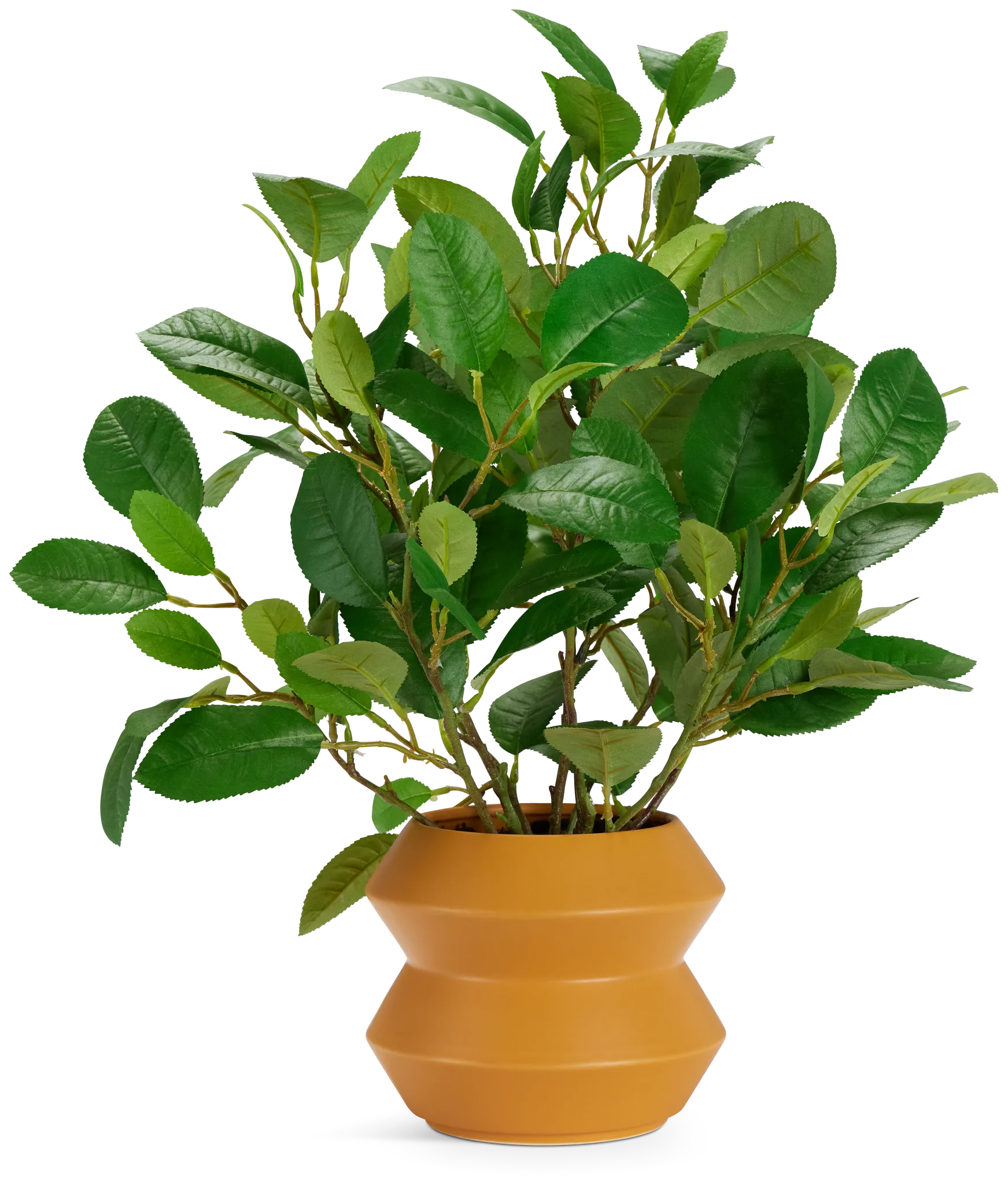 Lemonbranch 22" Greenery