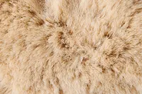 Kaycee Champagne 22" Accent Pillow