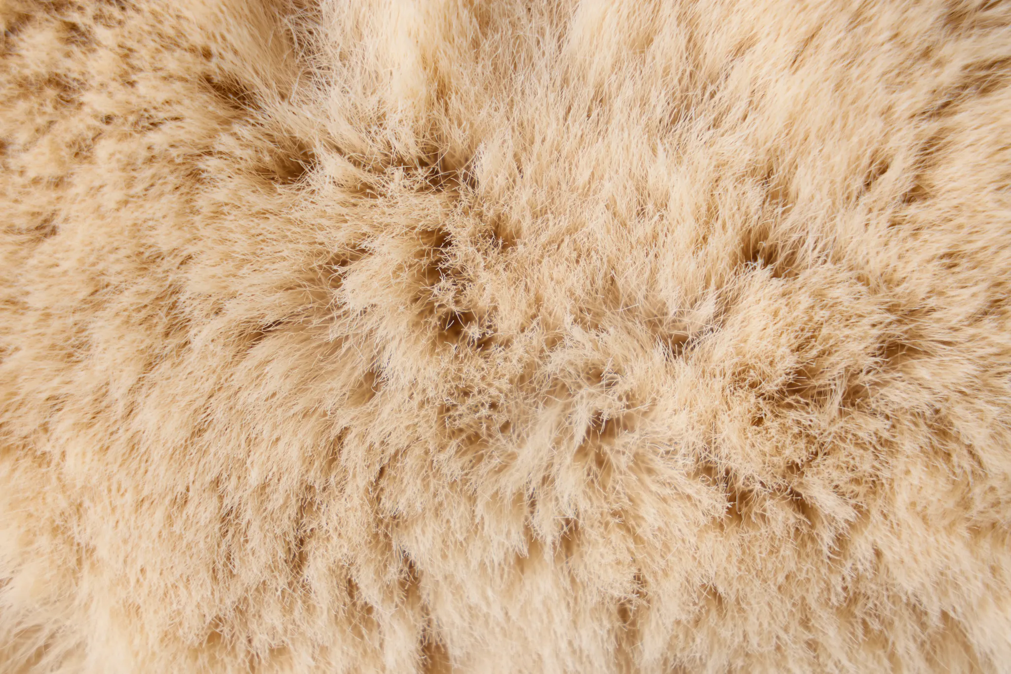 Kaycee Champagne 22" Accent Pillow