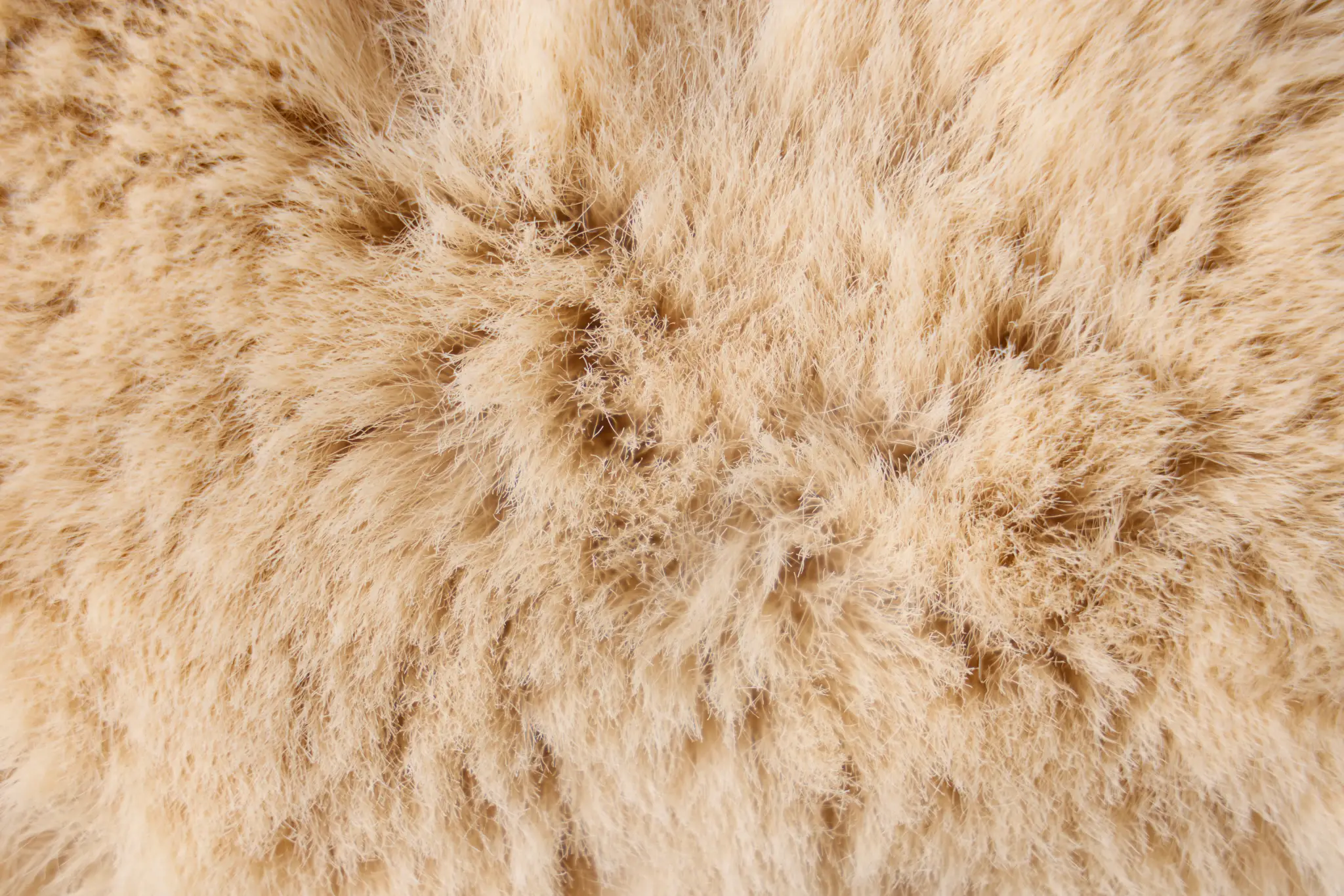 Kaycee Champagne 22" Accent Pillow Kaycee Champagne 22" Accent Pillow