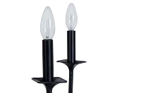 Teagan Black Chandelier