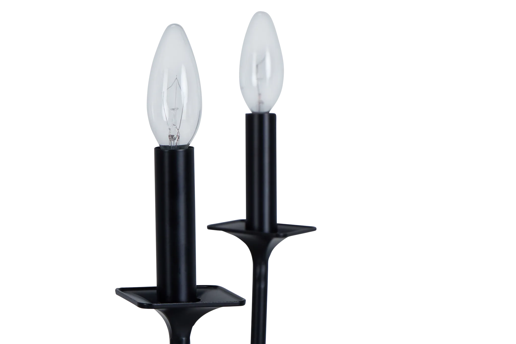 Teagan Black Chandelier