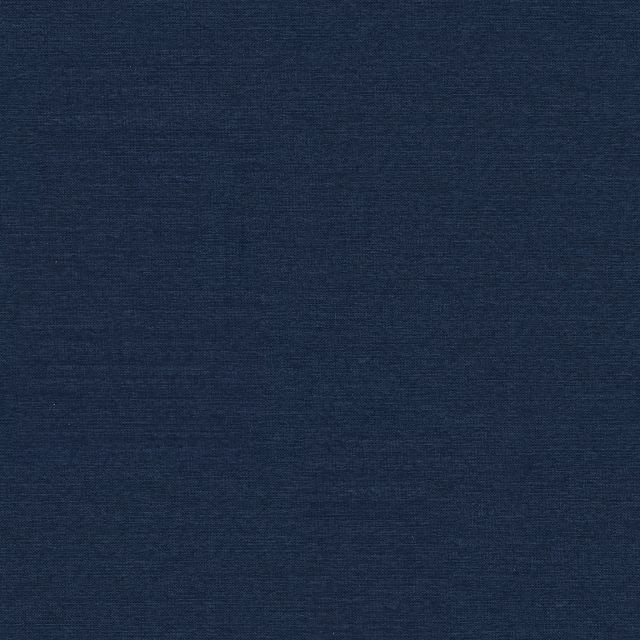 Captiva Peyton Dark Blue 60" Upholstered Shelter Bed