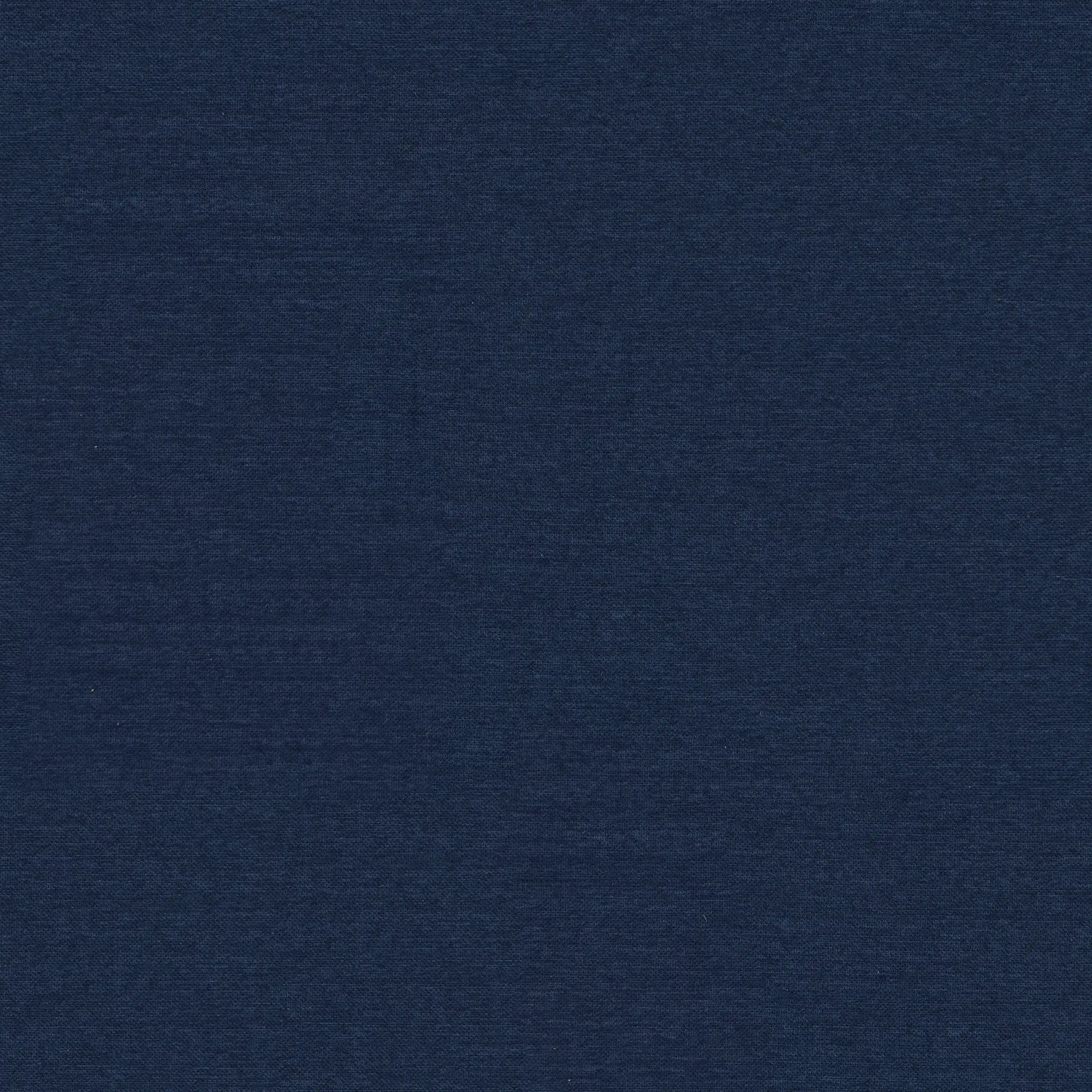 Captiva Peyton Dark Blue 60" Upholstered Shelter Bed Captiva Peyton Dark Blue 60" Upholstered Shelter Bed