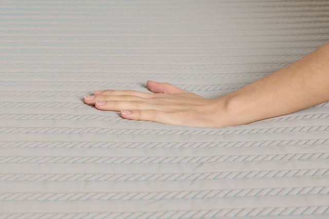 Rest & Renew Performance Pro 13.5" Soft Memory Foam Mattress