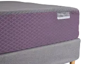 Purple Restore Premier Firm Mattress Set
