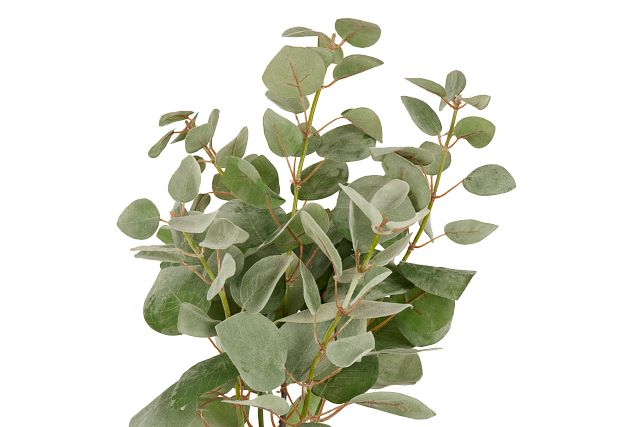 Eucalptus Large Greenery