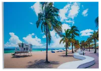 Fort Bend Acrylic Wall Art