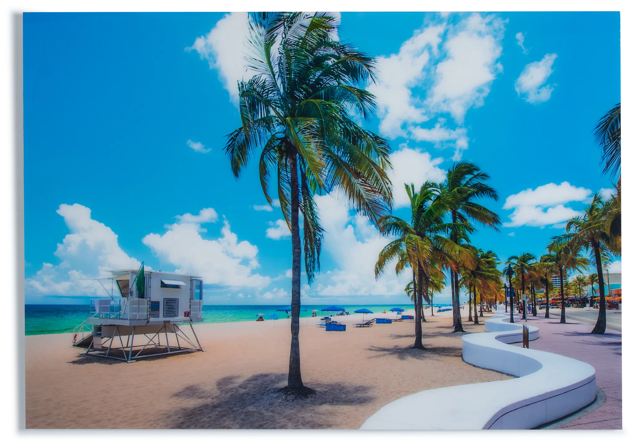 Fort Bend Acrylic Wall Art