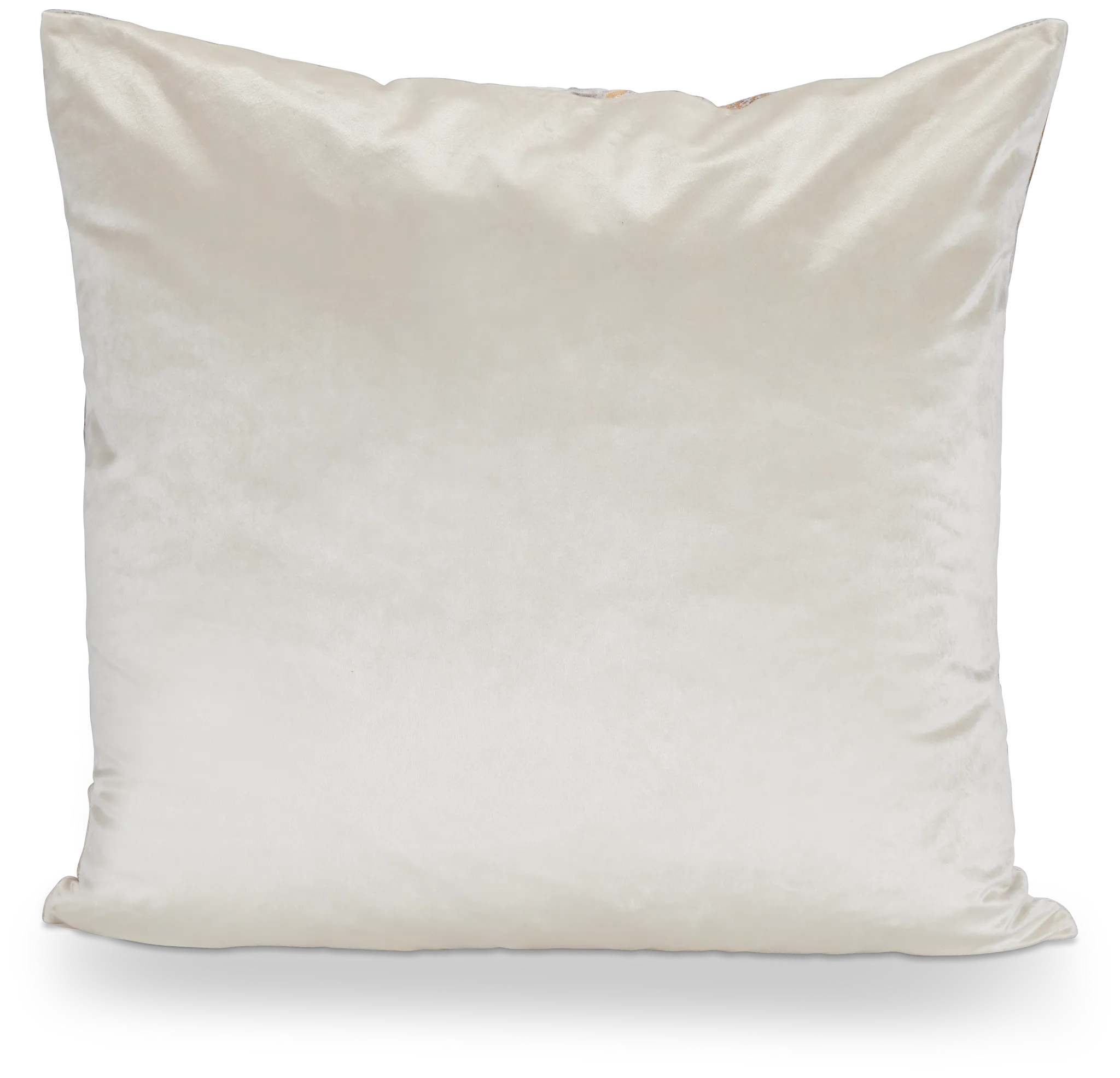 Leiana Gold 22" Accent Pillow
