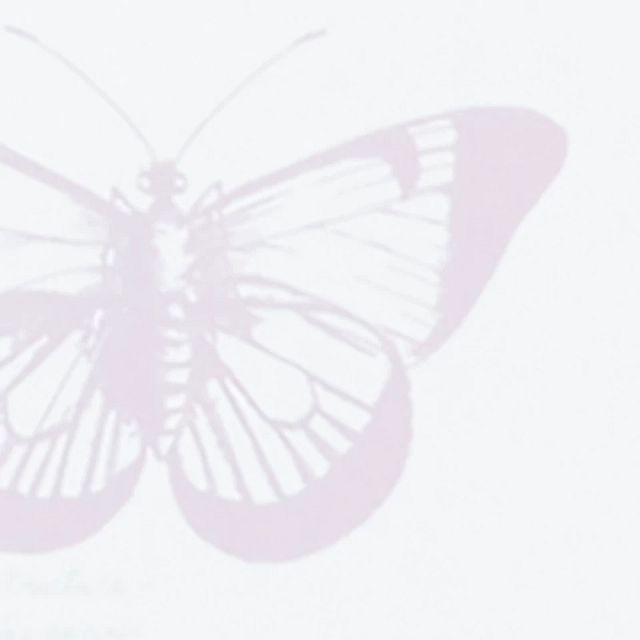 Butterfly Multicolored Framed Wall Art