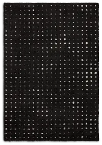 Lazare Black 5x7 Area Rug