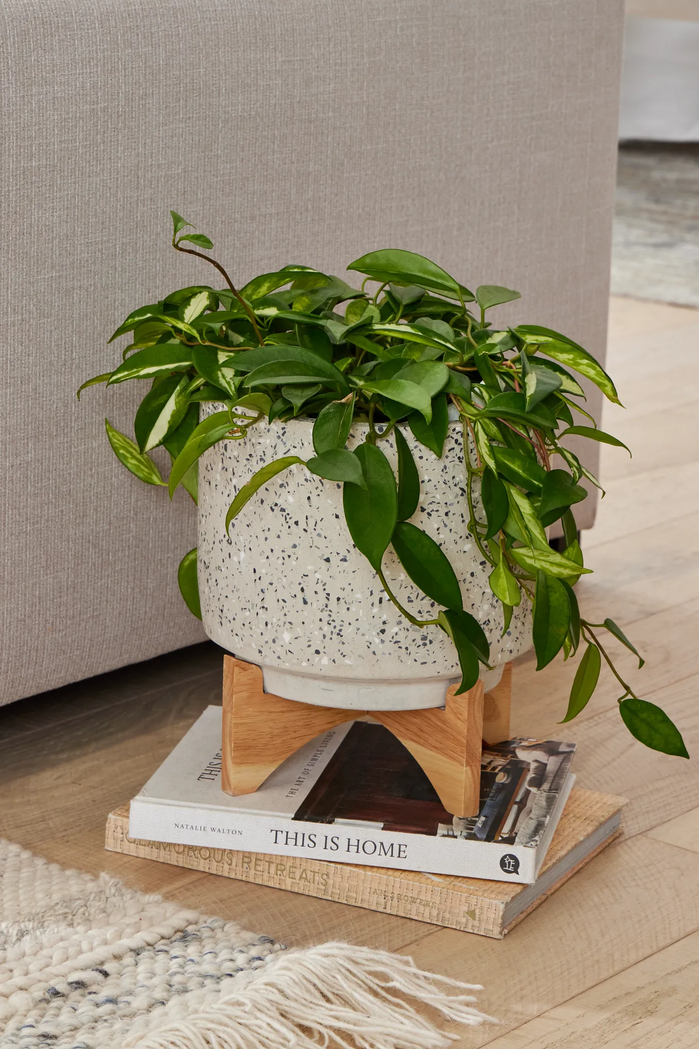 Tasi Light Beige Small Planter