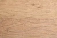 Carolina Light Tone Poster Bed