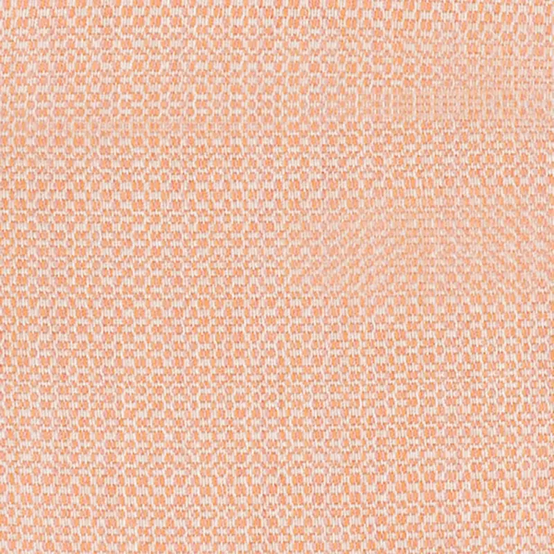 Light Orange Light Orange