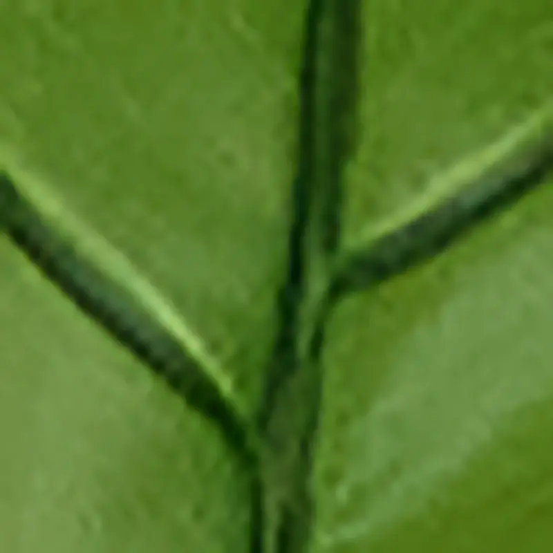Green Green