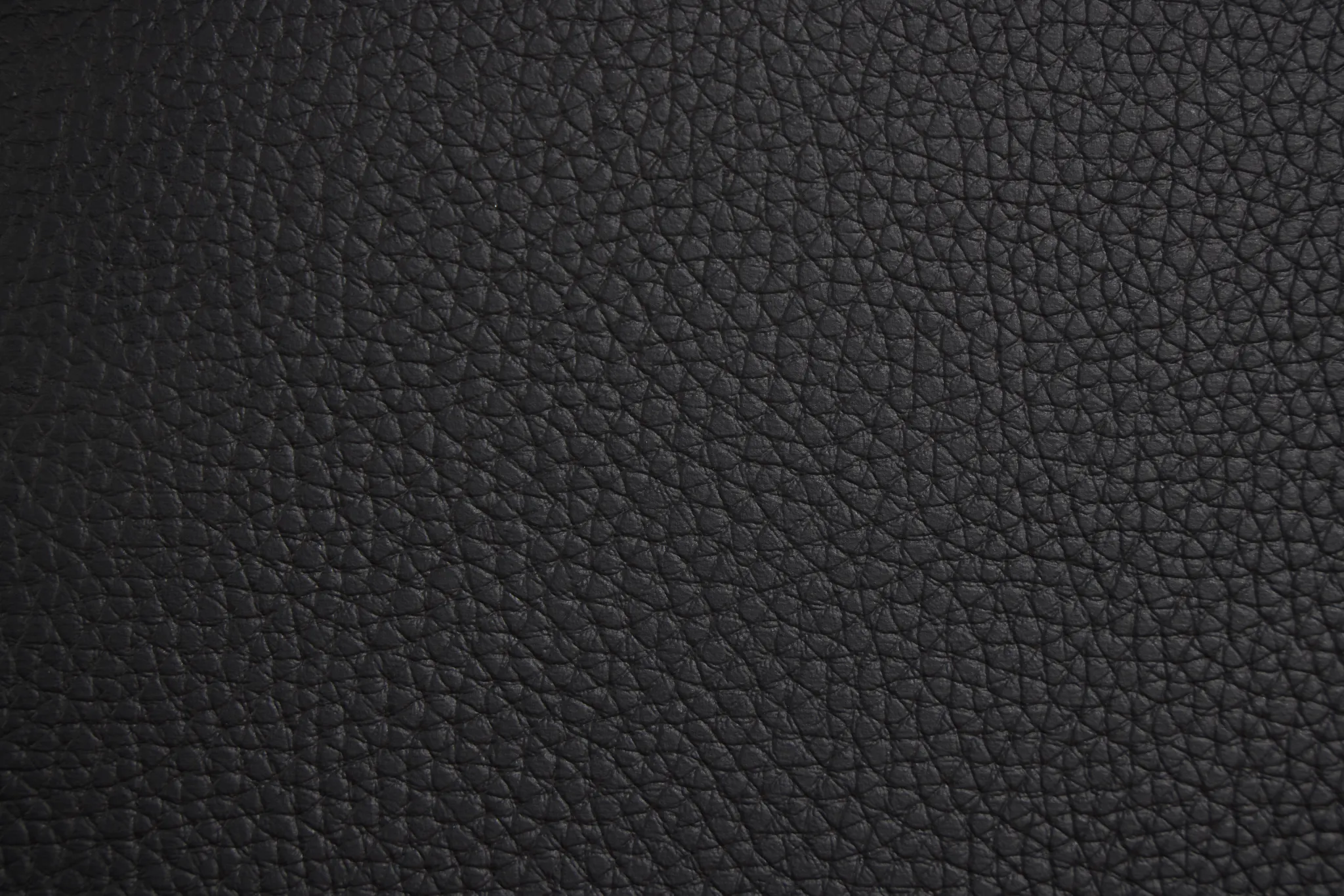 Doral Black Curved Upholstered Platform Bed