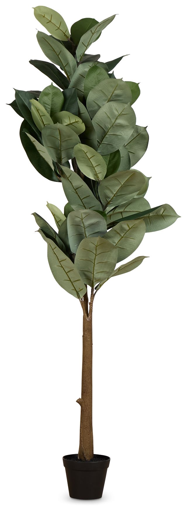 Oak 5' Tree