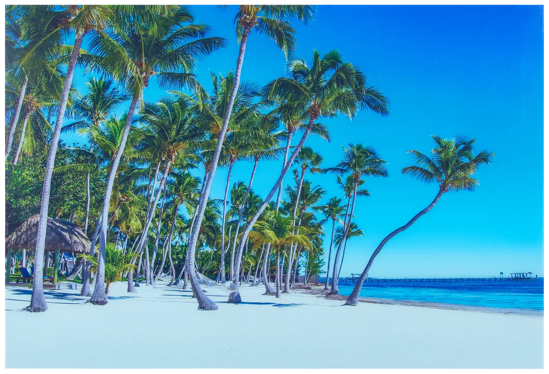 Palms2 Multicolored Acrylic Wall Art