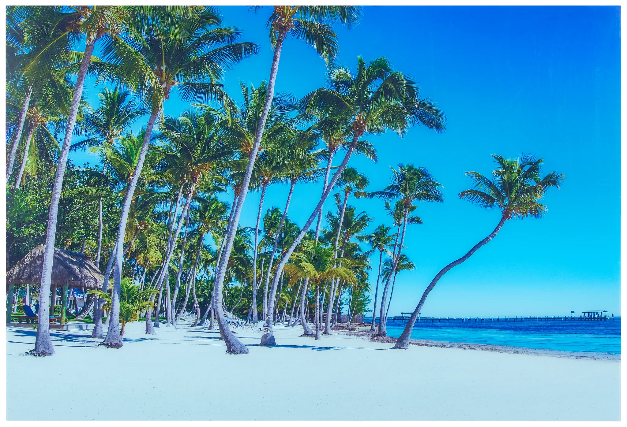 Palms2 Multicolored Acrylic Wall Art