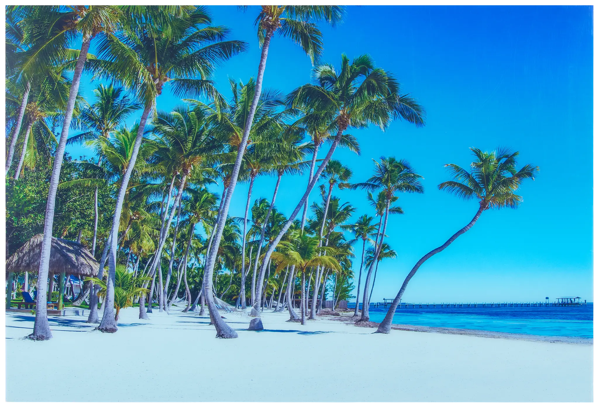Palms2 Multicolored Acrylic Wall Art Palms2 Multicolored Acrylic Wall Art