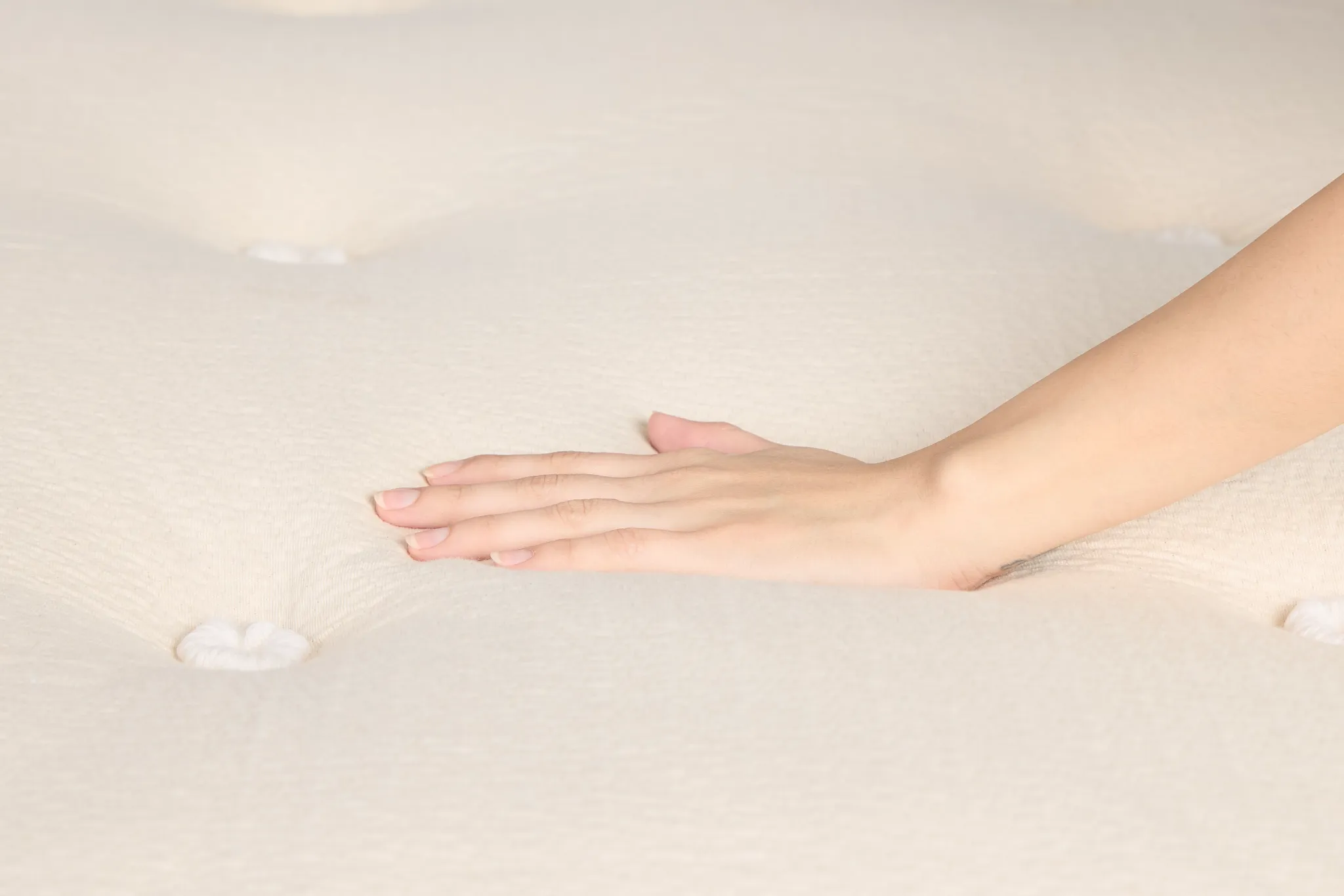 Avocado Green 15.50" Plush Box Top Mattress