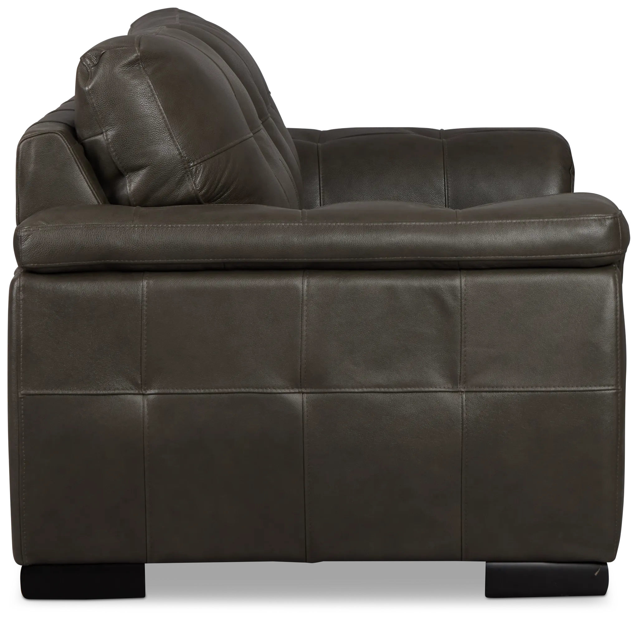 Braden Dark Gray Leather Loveseat