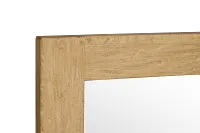 Presley Light Tone Mirror