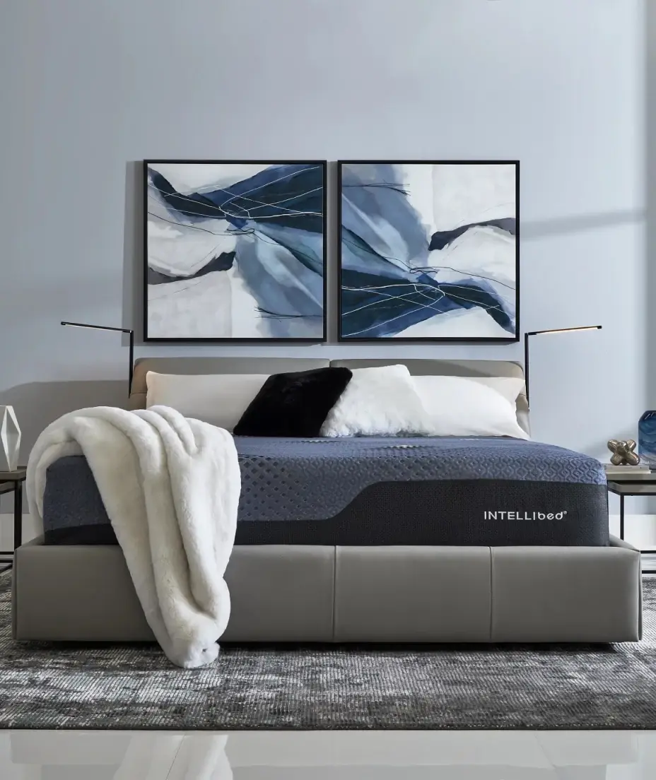 Intellibed Mattresses Intellibed Mattresses