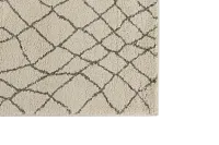 Caleb Ivory 8x11 Area Rug