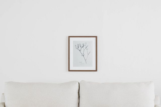 Sprout Gray Framed Wall Art
