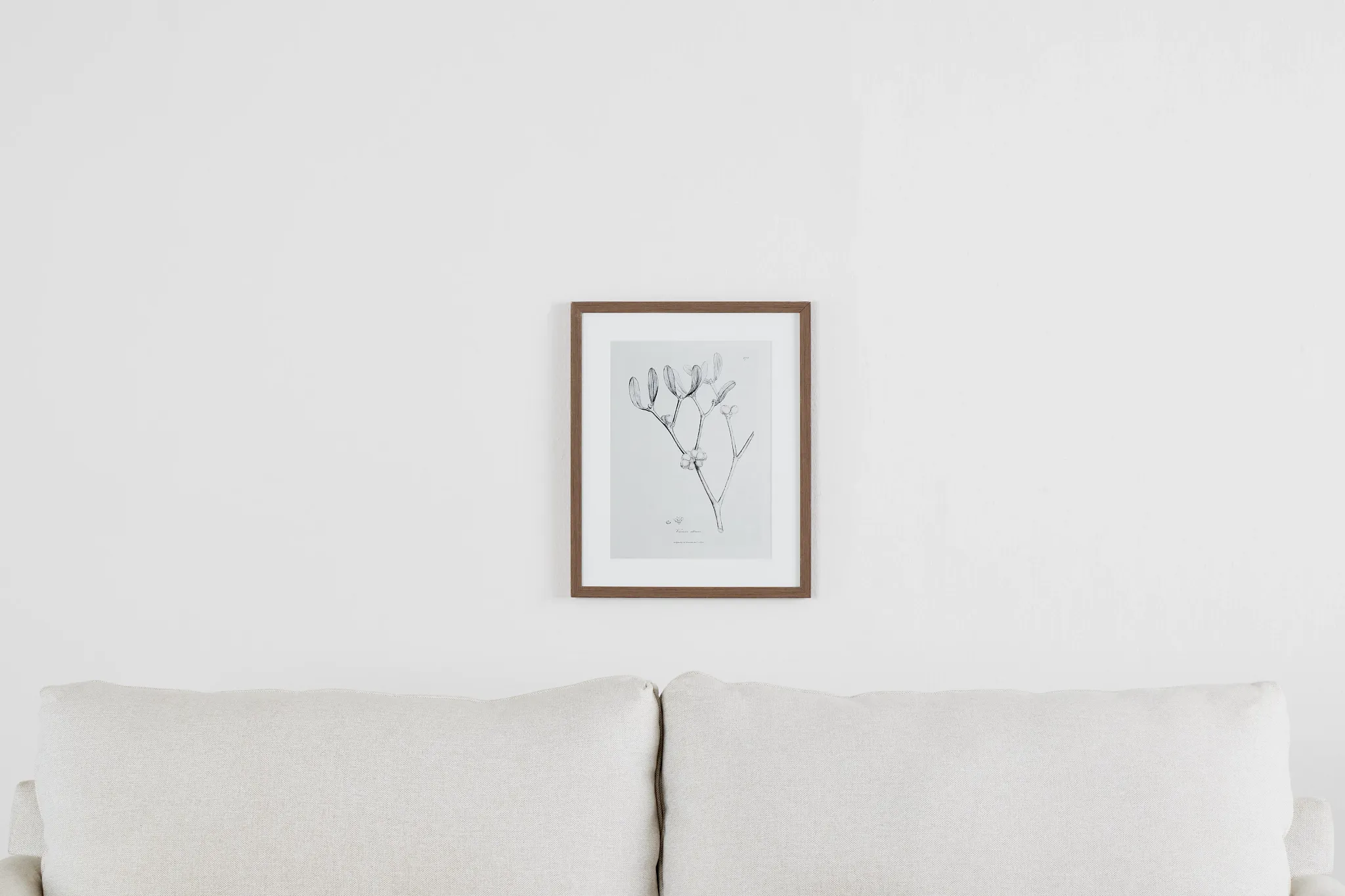 Sprout Gray Framed Wall Art