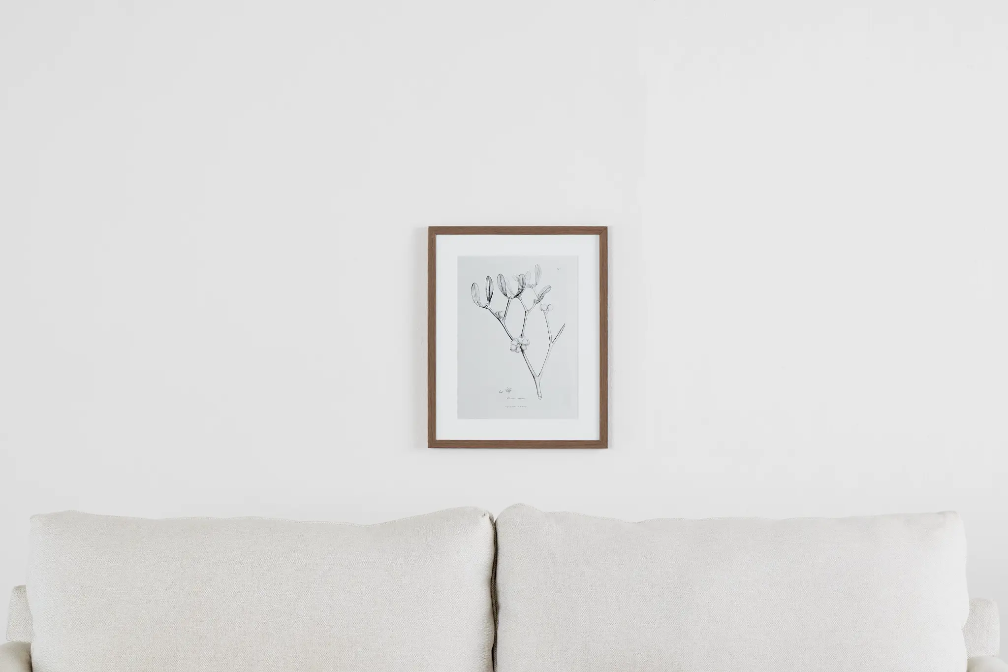 Sprout Gray Framed Wall Art Sprout Gray Framed Wall Art