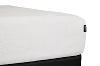 Rest & Renew By Zinus Gel Memory Foam Mattress 10" Cush Firm Mattress Set