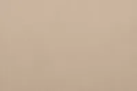 Reyna Beige Micro Small Dual Power Reclining Two-arm Sectional