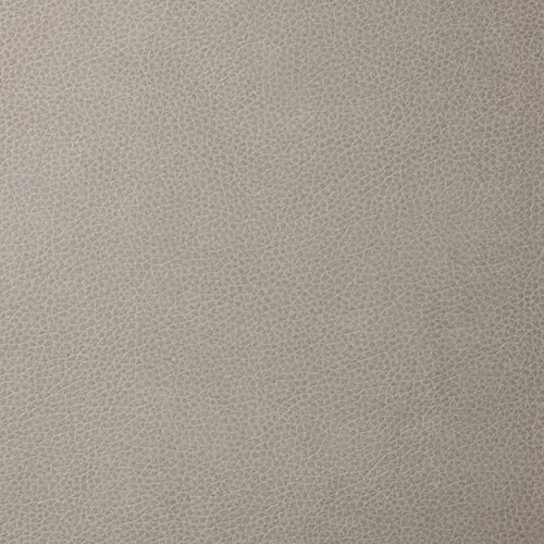 Light Gray Light Gray