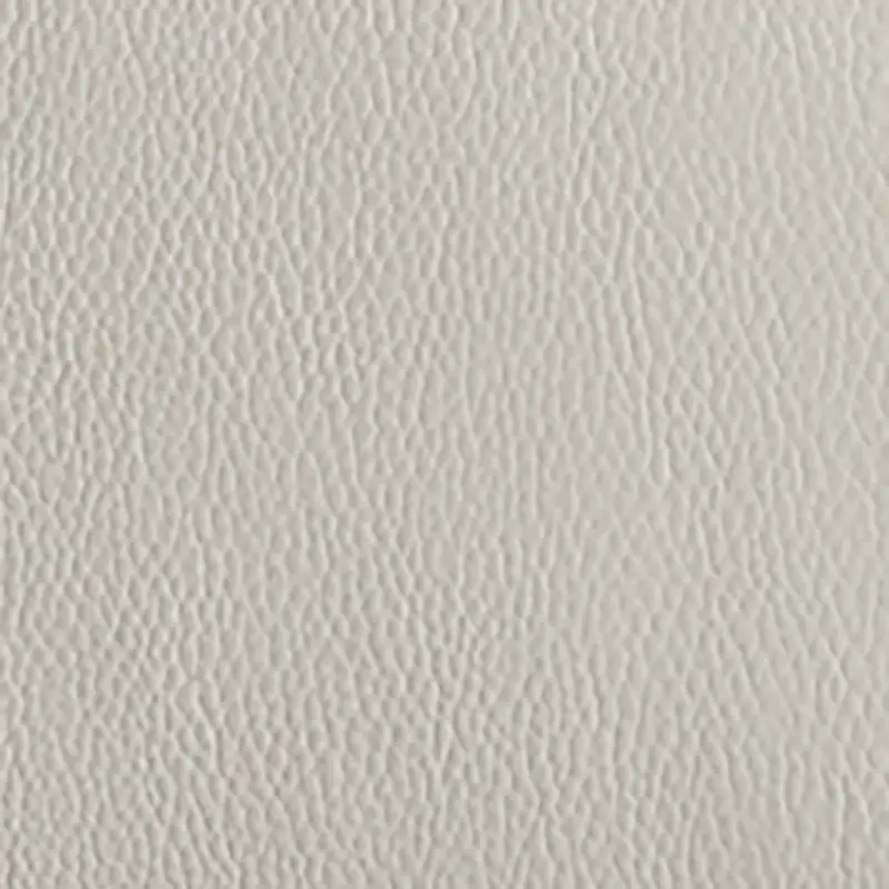 Light Gray Light Gray