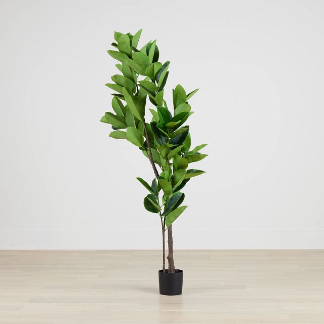 Oak Green 6' Tree