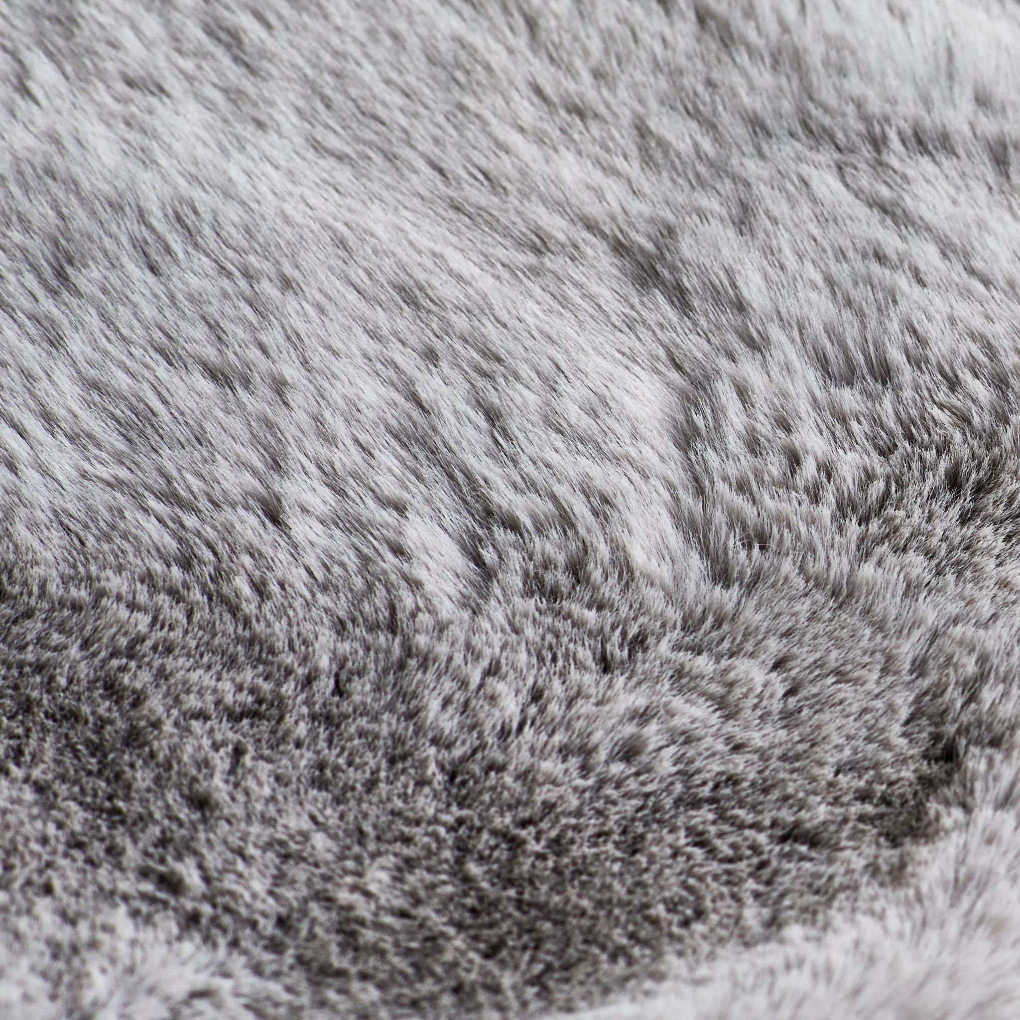 Kaycee Light Gray 2x3 Area Rug