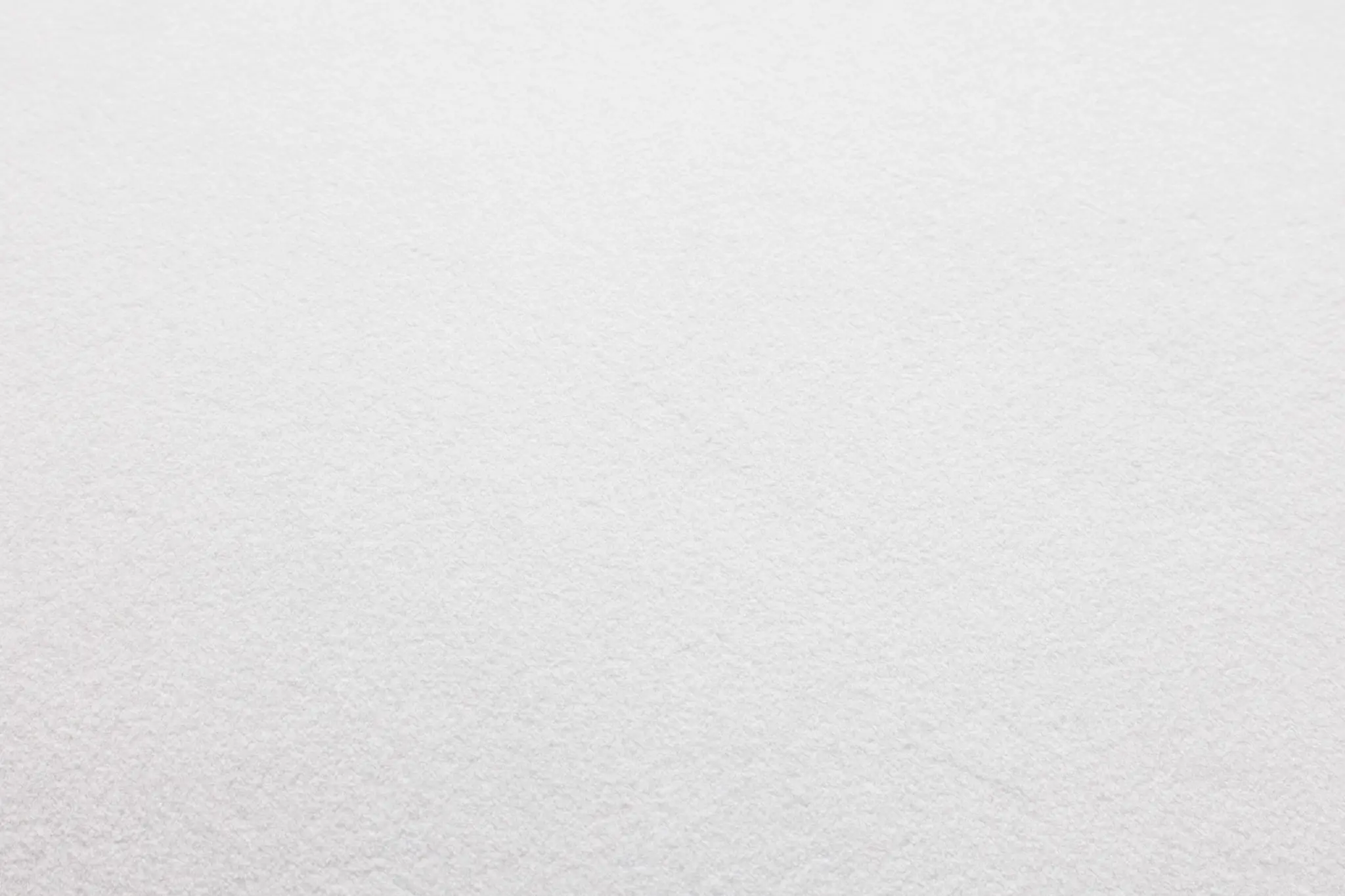 WHITE Reign White 20" Accent Pillow