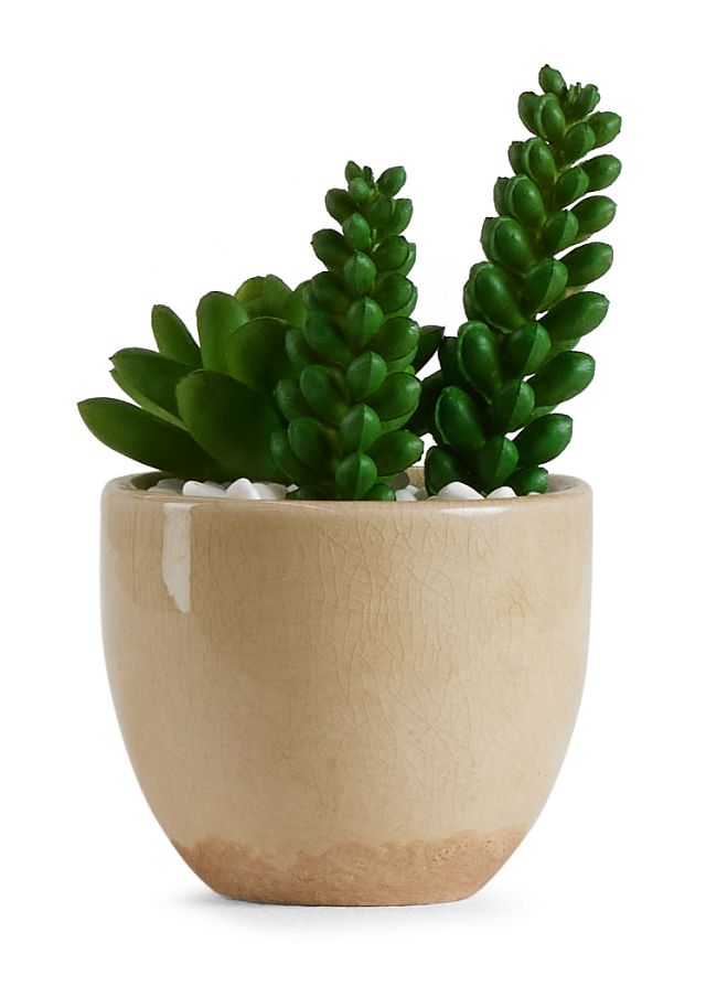 Desert Plant 6.5" Succulent