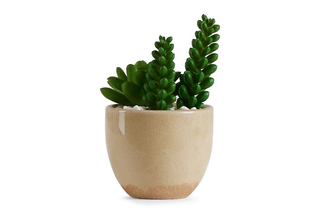 Desert Plant 6.5" Succulent
