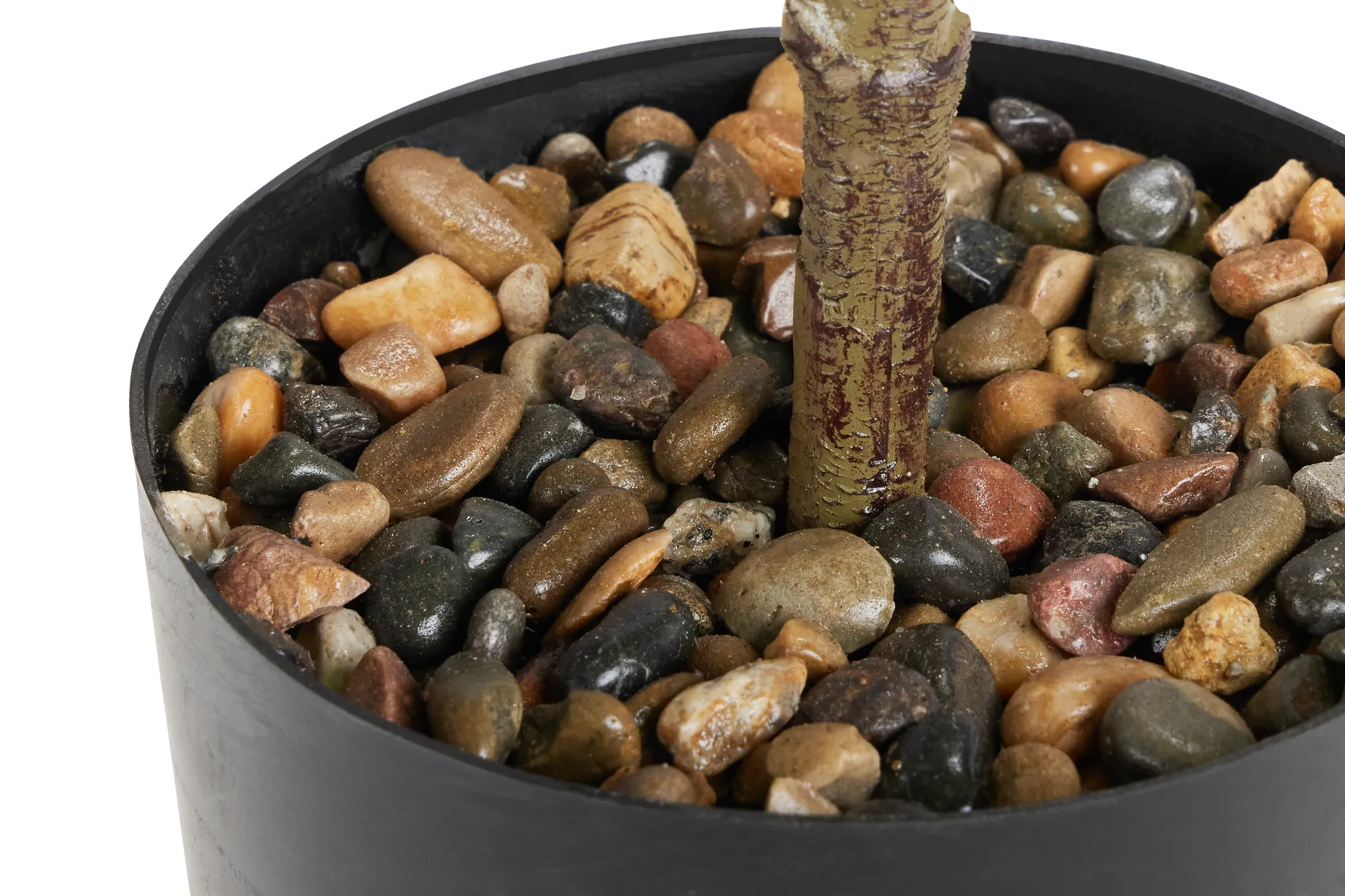 Ficus Lyrata 47" Greenery