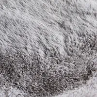 Kaycee Light Gray 4x6 Area Rug