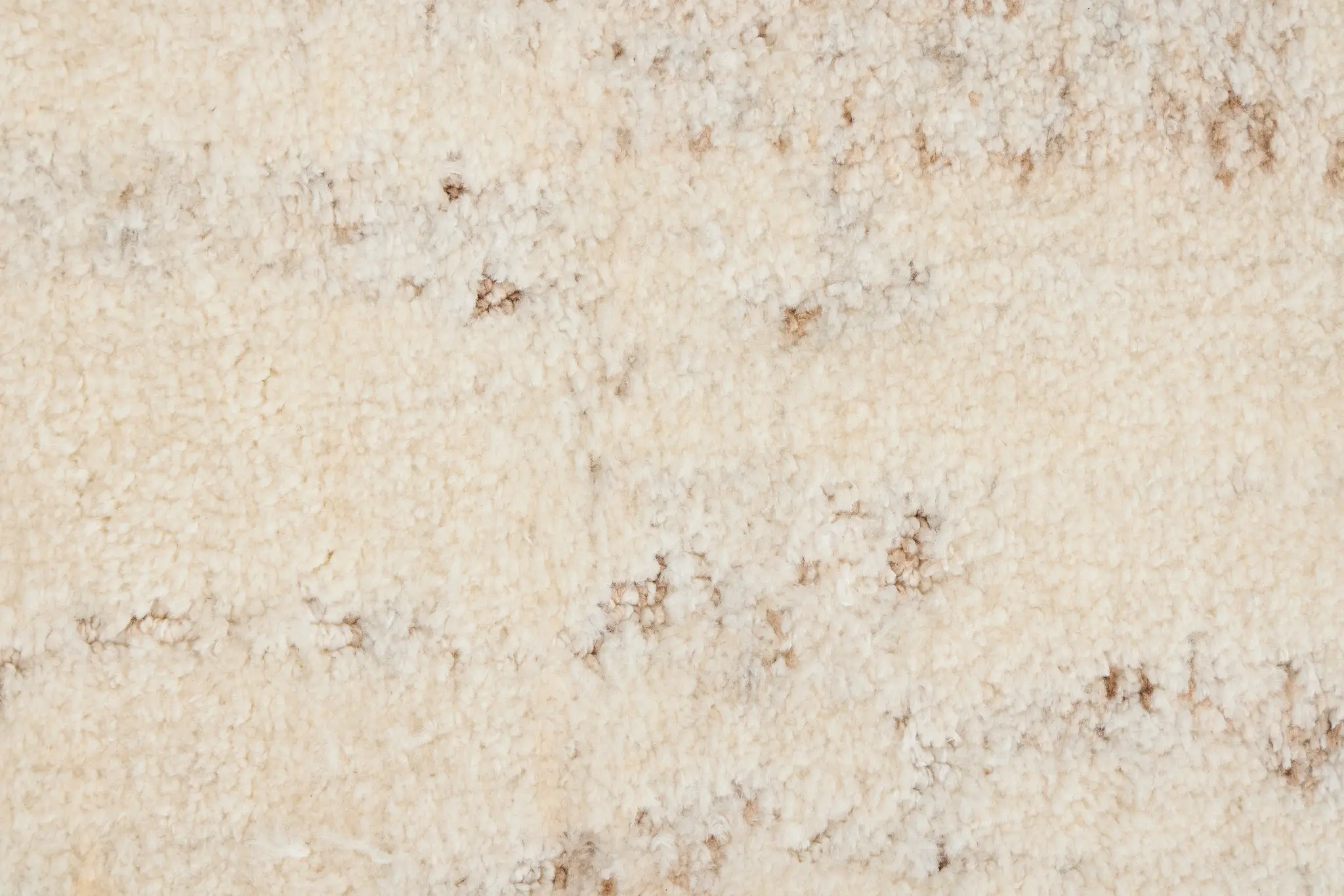 IVORY Carrin Ivory 8x10 Area Rug