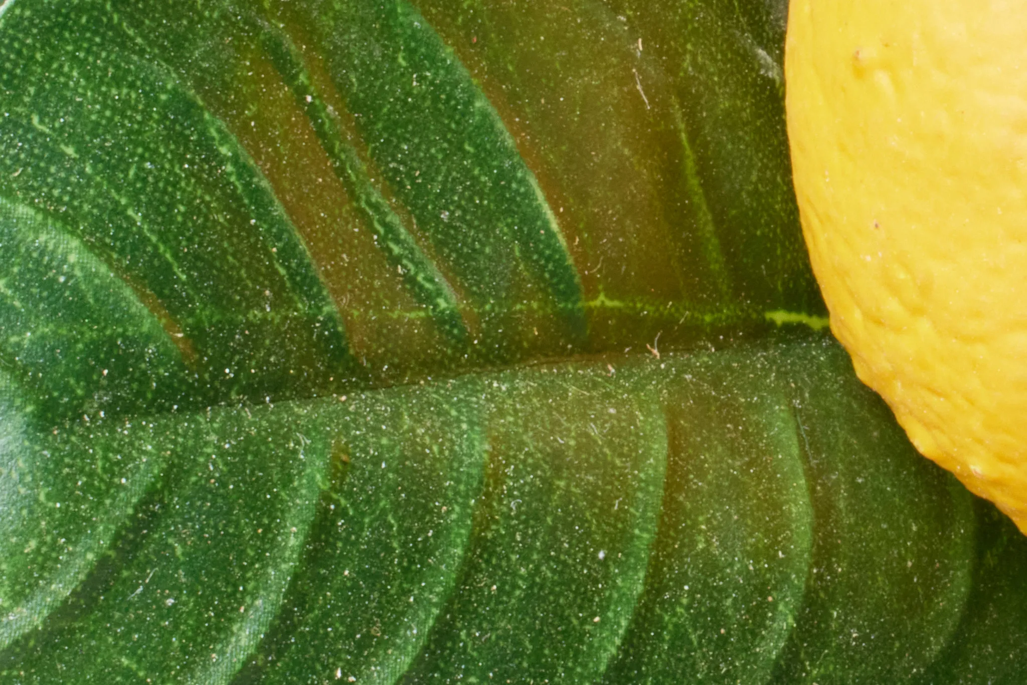 Lemon Green 23" Tree